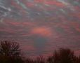 cotton candy su...